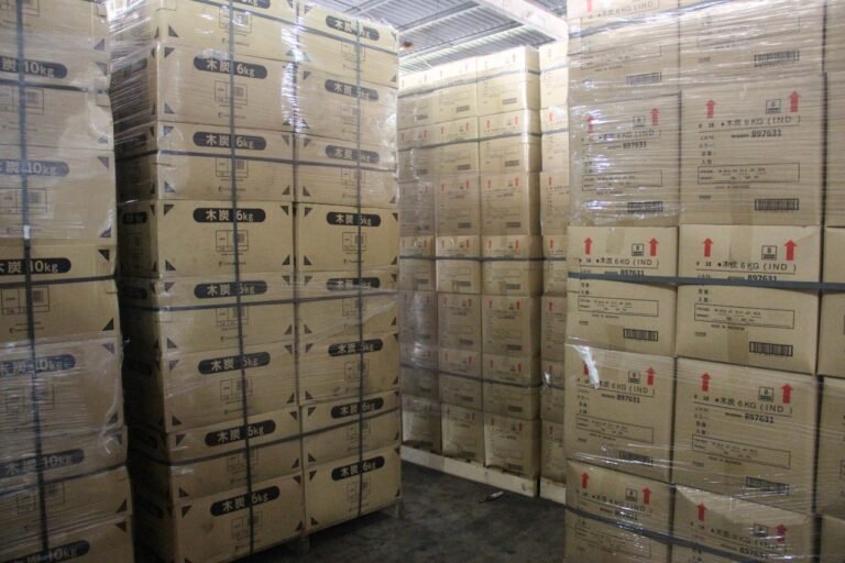 WhatsApp Image 2025-09-07 at 19.30.51 (1)