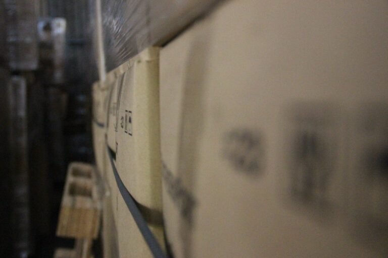 WhatsApp Image 2025-09-07 at 19.30.53 (1)