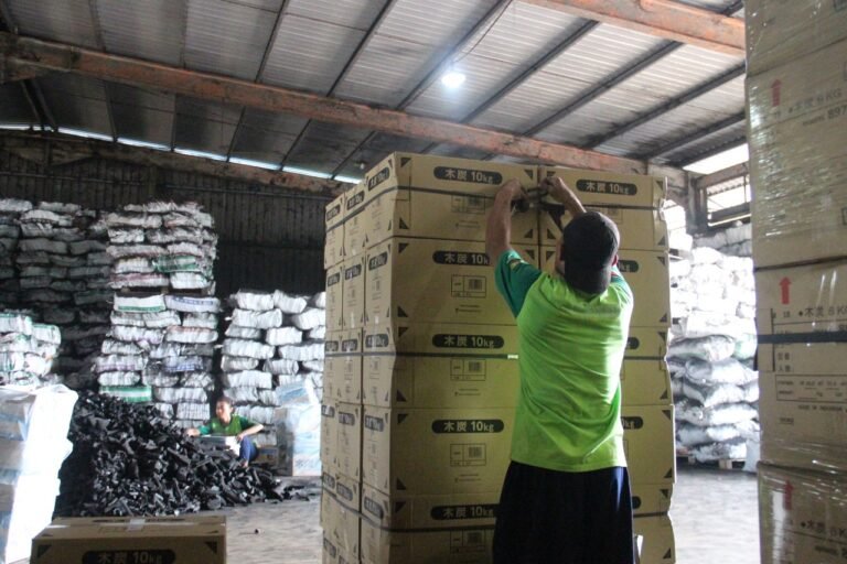 WhatsApp Image 2025-09-07 at 19.30.53